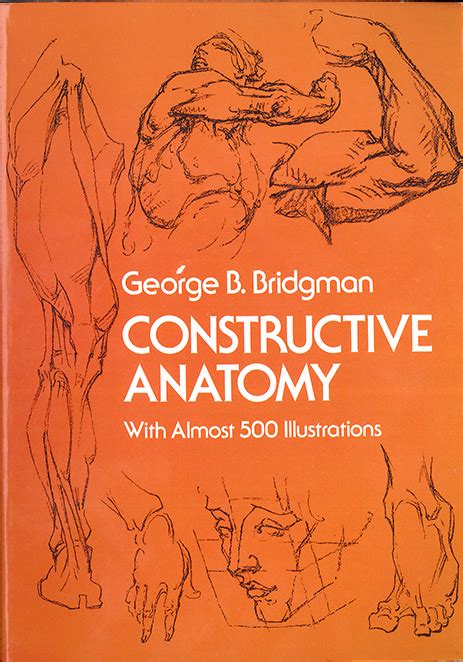 Research Of Artistic Anatomy George Brandt Bridgman Constructive