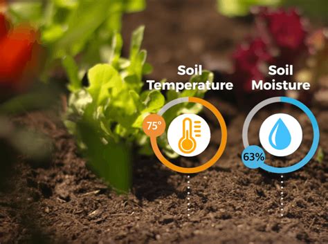 Real Time Examples Of The Iot In The Agriculture Sector Iotedu