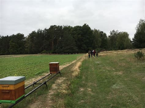 Pierwsza Tematyczna Kraina Rawki Lgd Kraina Rawki