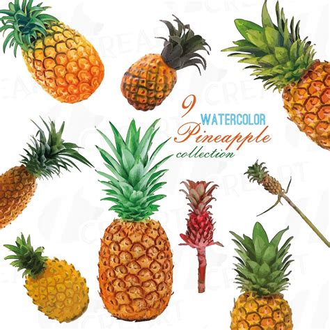 Watercolor Pineapple Clip Art Pack Watercolor Ananas Clip Art Exotic