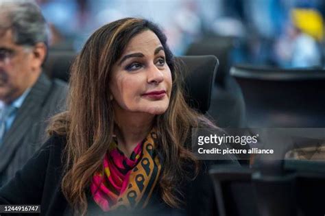 5 Hot Sexy Sherry Rehman Bikini Pics