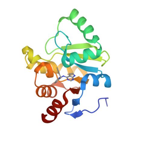 Rcsb Pdb Sqz Pandda Analysis Group Deposition Crystal Structure