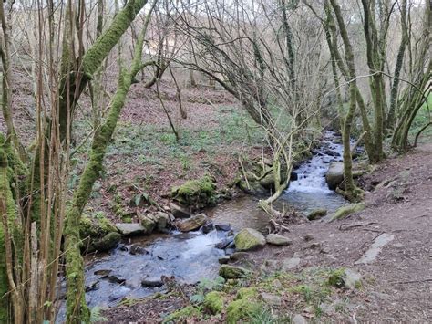 La Xunta Elimina Un Punto De Vertido De Aguas Residuales Al R O Eifonso