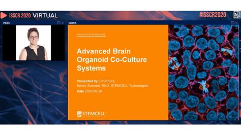 Isscr Innovation Showcase Advanced Brain Organoid Co Culture Systems