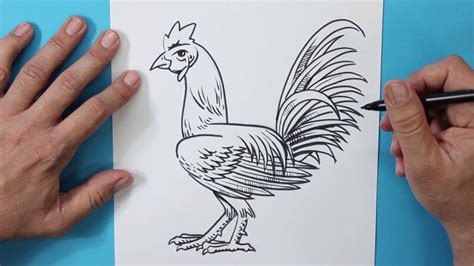 Dibujo De Gallo De Granja Para Colorear Porn Sex Picture | Porn Sex Picture