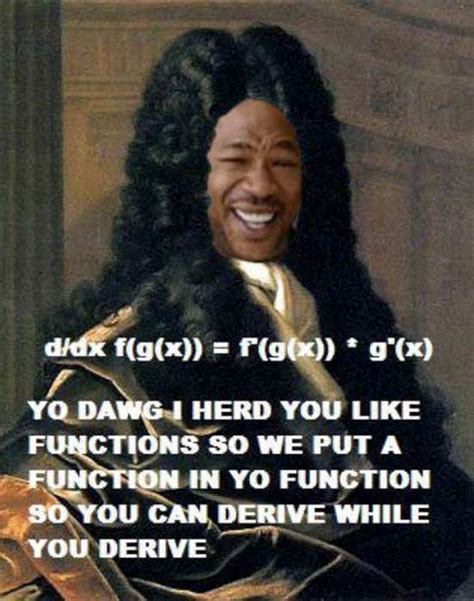 Yo Dawg I Heard Your Like Functions So I Functioned It Up Math Jokes Calculus Humor Nerd Humor