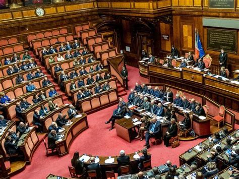 Figli Di Coppie Gay Il Senato Boccia Il Regolamento Ue Le Opposizioni