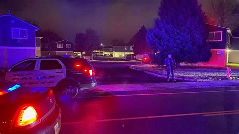 Young Man Shot And Killed In Richland On New Years Eve Tri City Herald