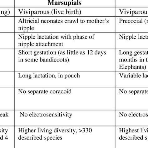 Monotremes Evolution And Classification