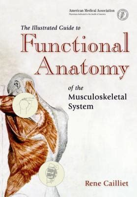 The Illustrated Guide To Functional Anatomy Of The Musculoskeletal