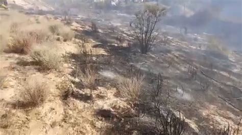 Controlado El Incendio Forestal En El Valle Ahora Granada