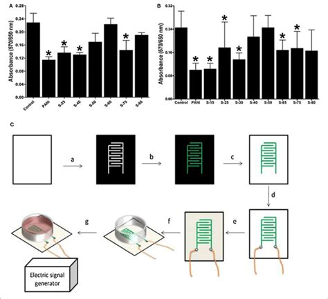 Span Biocompatibility With A Bmscs And B Mc3t3 E1 Cells