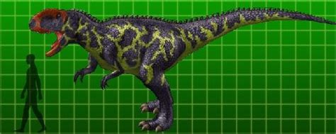 Rugops Pictures & Facts - The Dinosaur Database