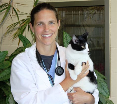 mspca at northeast animal shelter 10