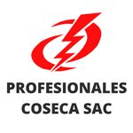 PROFESIONALES COSECA SAC PRACTICAS 2024 Convocatorias