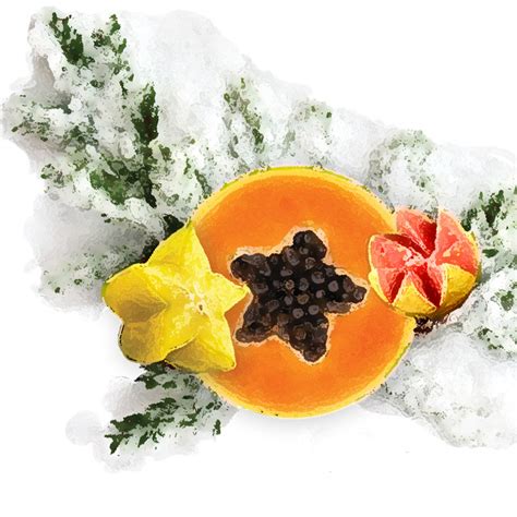 Enjoy winter and the tropics at the same time