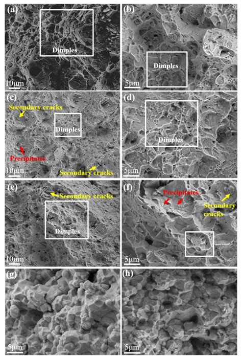 Sem Images Showing The Fracture Surface Morphologies After Tensile