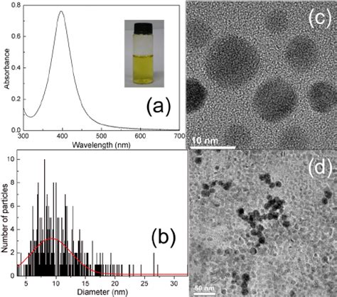 A Photo Image Of A Bc Membrane Containing Silica Nps B