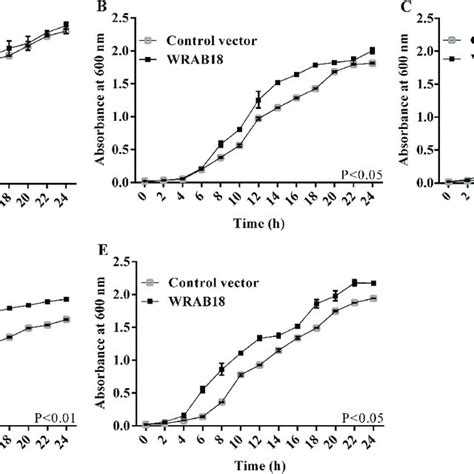 Growth Curves Of Escherichia Coli Cultures Transformed With Wrab18 Or