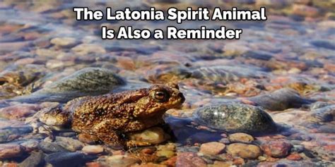 Latonia Spiritual Meaning, Symbolism, and Totem (2022)