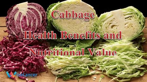 Cabbage Health Benefits And Nutritional Value WiseLancer