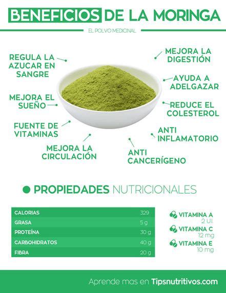 Los Beneficios De La Moringa Artofit