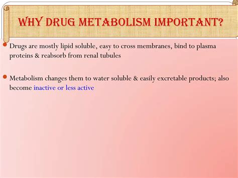 Drug Metabolism Ppt Ppt