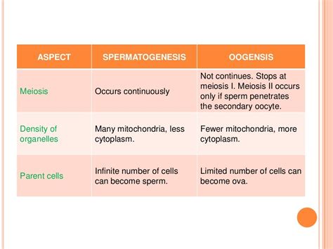 Biology form 5 process of oogenesis