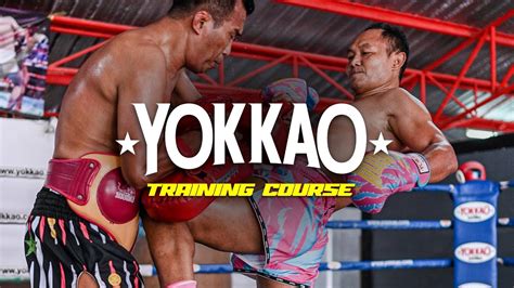 Saenchai Style Jab Cross Basic Muay Thai Technique YOKKAO Training