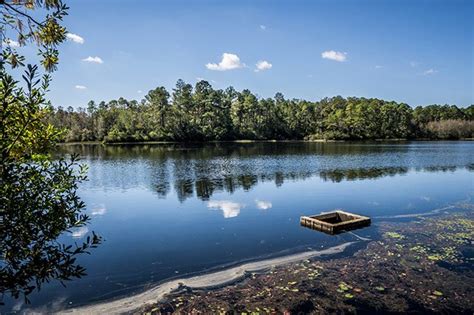 Aiken State Park - SC Picture Project