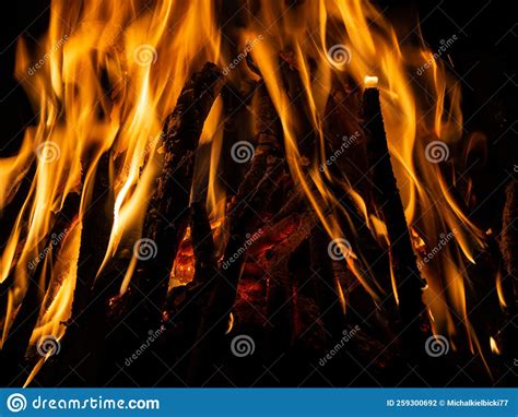 Bonfire flames stock photo. Image of shine, bonfire - 259300692