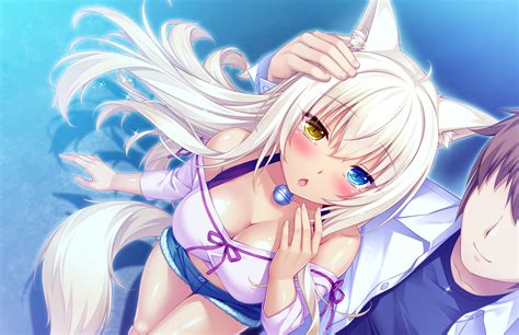 Image 2016 02 21 812328 Png Nekopara Wiki Fandom Powered By Wikia