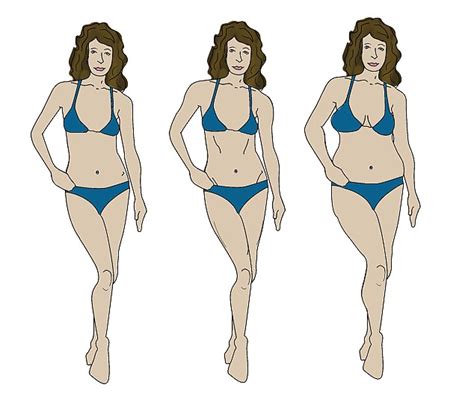 Female Body Type Support Telegraph