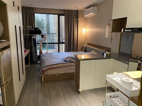 Shanghai Xuhui Studio Sublet Single Apartment Short Term Pet