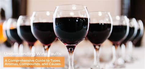 Understanding Wine Faults A Comprehensive Guide To Types Aromas Com