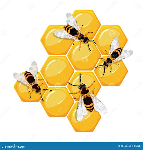 Abejas en un panal ilustración del vector Ilustración de honrado