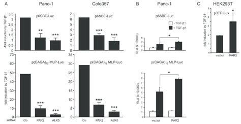 Depletion Of Par2 Decreases The Sensitivity Of Tgf β Smad Responsive