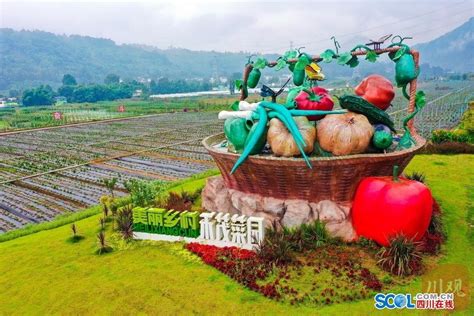 震后十年新芦山丨灾区变景区、田园变公园，走出一条芦山特色的文旅融合发展新路四川在线