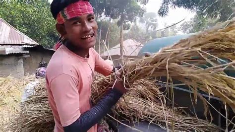 Paddy Harvesting Machine How To Use Technology In Paddy Harvesting In