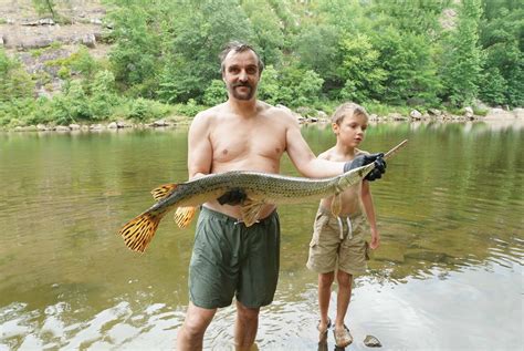 Discover The Largest Longnose Gar Ever Caught in South Carolina - A-Z