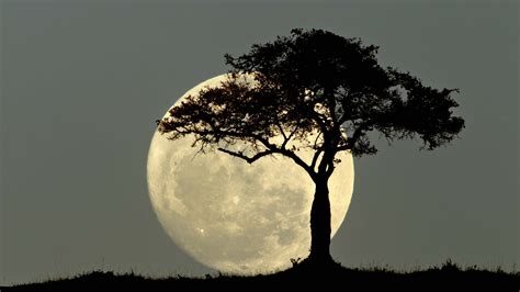 De Agosto Rituales Para La Luna Llena En Acuario Glamour