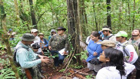 Sele O Para O Curso De Doutorado Em Entomologia Do Inpa Oferece Vagas