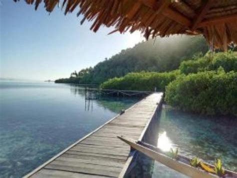 Raja Ampat Dive Lodge Resort - Deals, Photos & Reviews