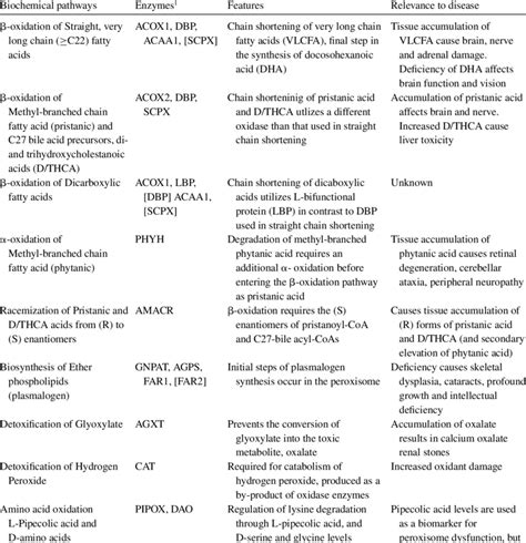 Functions of peroxisomal enzymes | Download Table