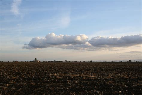 Local historians explain the agricultural roots of linden ca 9
