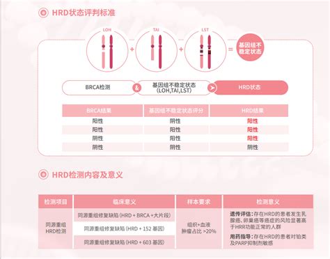 妇科肿瘤 鼎晶生物 让医疗更有效肿瘤基因检测