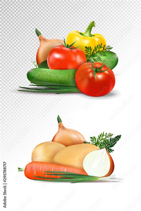 Vector Realistic Fresh Ripe Vegetables Sets Isolated On Transparent