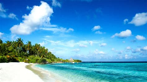 19 Clear Water Beaches In Hawaii