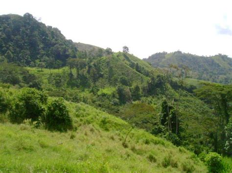 Fotos De Finca En Venta En Quipile Cundinamarca Anuncio Fiv