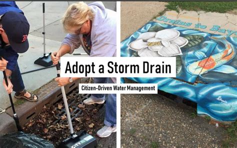 Adopt A Storm Drain 1 24 Hour Citizen Project